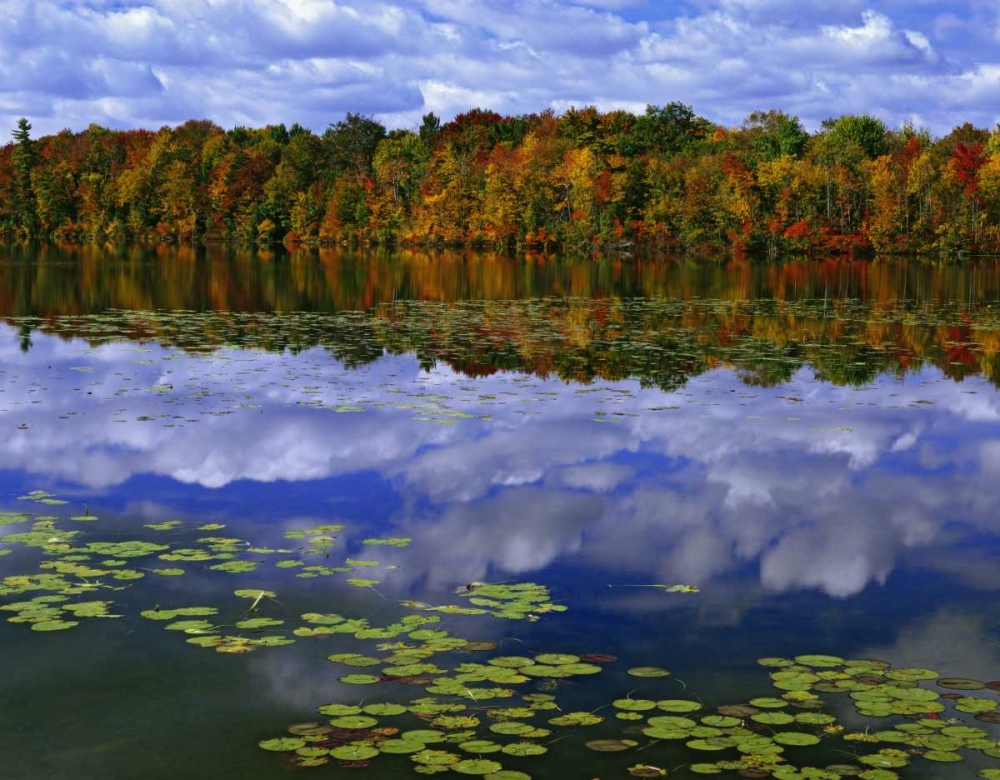 Canada, Ontario Autumn around Park Haven Lake art print by Dennis Flaherty for $57.95 CAD